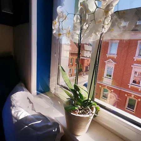 Purer Luxus In Planitz - Exklusive Für Bis Zu 10 Personen! Apartment *